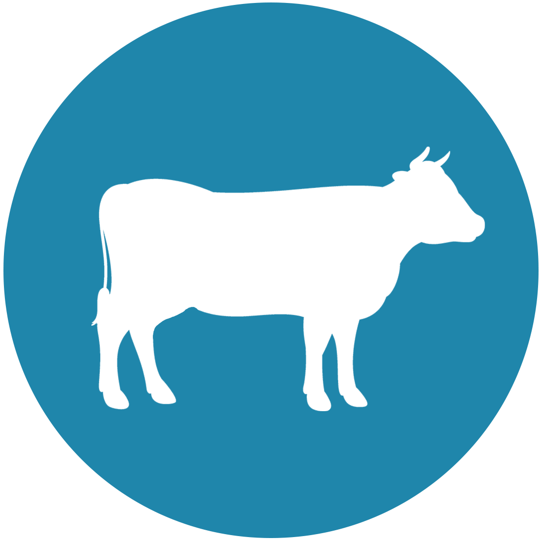 Beef